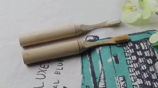 Mais novo preço mais barato escova de dentes de bambu para cuidados pessoais adultos para viagens