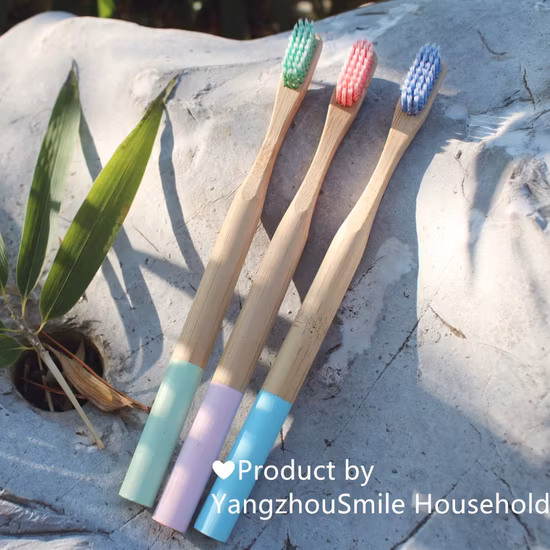 Escova de dentes de bambu OEM 100% biodegradável com pintura de marca própria